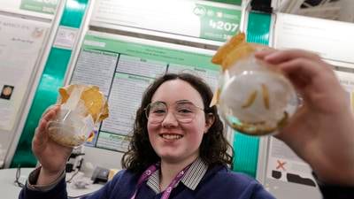 AI for benefit of students and a fruit box prolonging shelf life showcased at BT Young Scientist Exhibition
