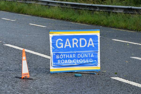 Man in his 50s dies in early morning Co Meath crash