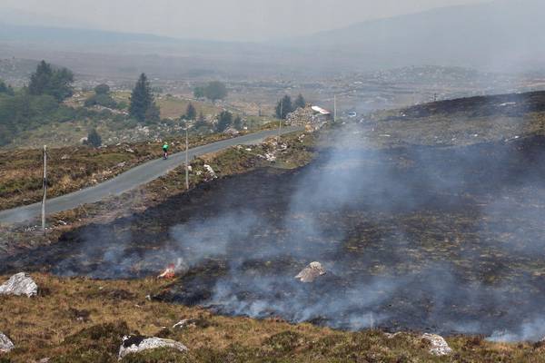 Plans to extend gorse burning season deeply flawed, says Green Party