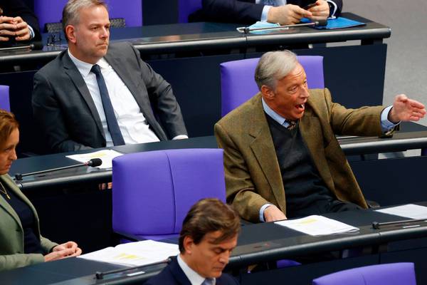 Bundestag MPs turn on AfD after parliamentary provocation