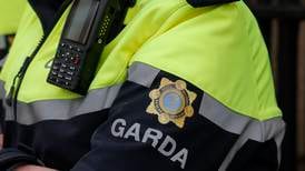 Pedestrian (70s) dies after being struck by lorry in Co Laois