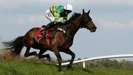 Argocat to land Punchestown Gold Cup pot for local trainer Tom Taaffe