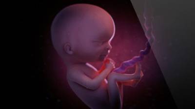 Irish ‘Life in the Womb’ app nominated for Webby award