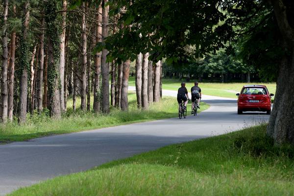 Greens call for review of decision to reopen Phoenix Park to traffic