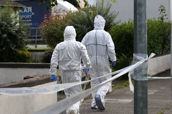 Dublin pensioner killed with machete after confronting man, gardaí believe