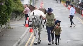 Connemara Pony Show at 100: ‘This is like the Olympics of the Connemaras’