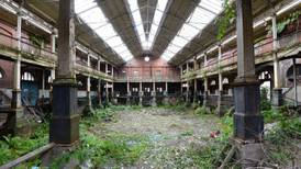 Iveagh Markets ‘unsafe’ and in ‘advanced state of dereliction’