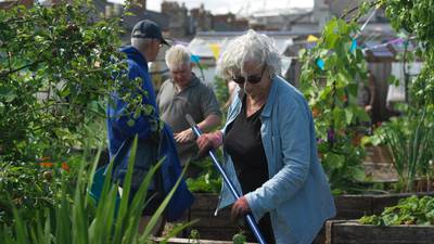 Clever design  opens up gardening  for less able-bodied people