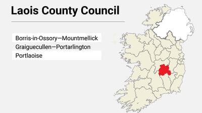 Local Elections: Laois County Council results