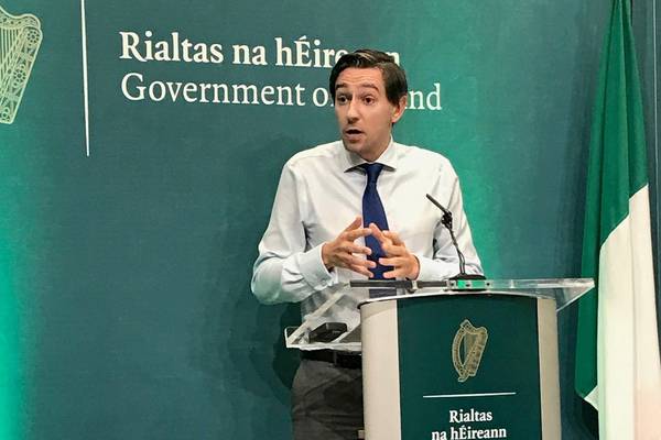 Government plan to implement Sláintecare is ‘inherently flawed’, say consultants