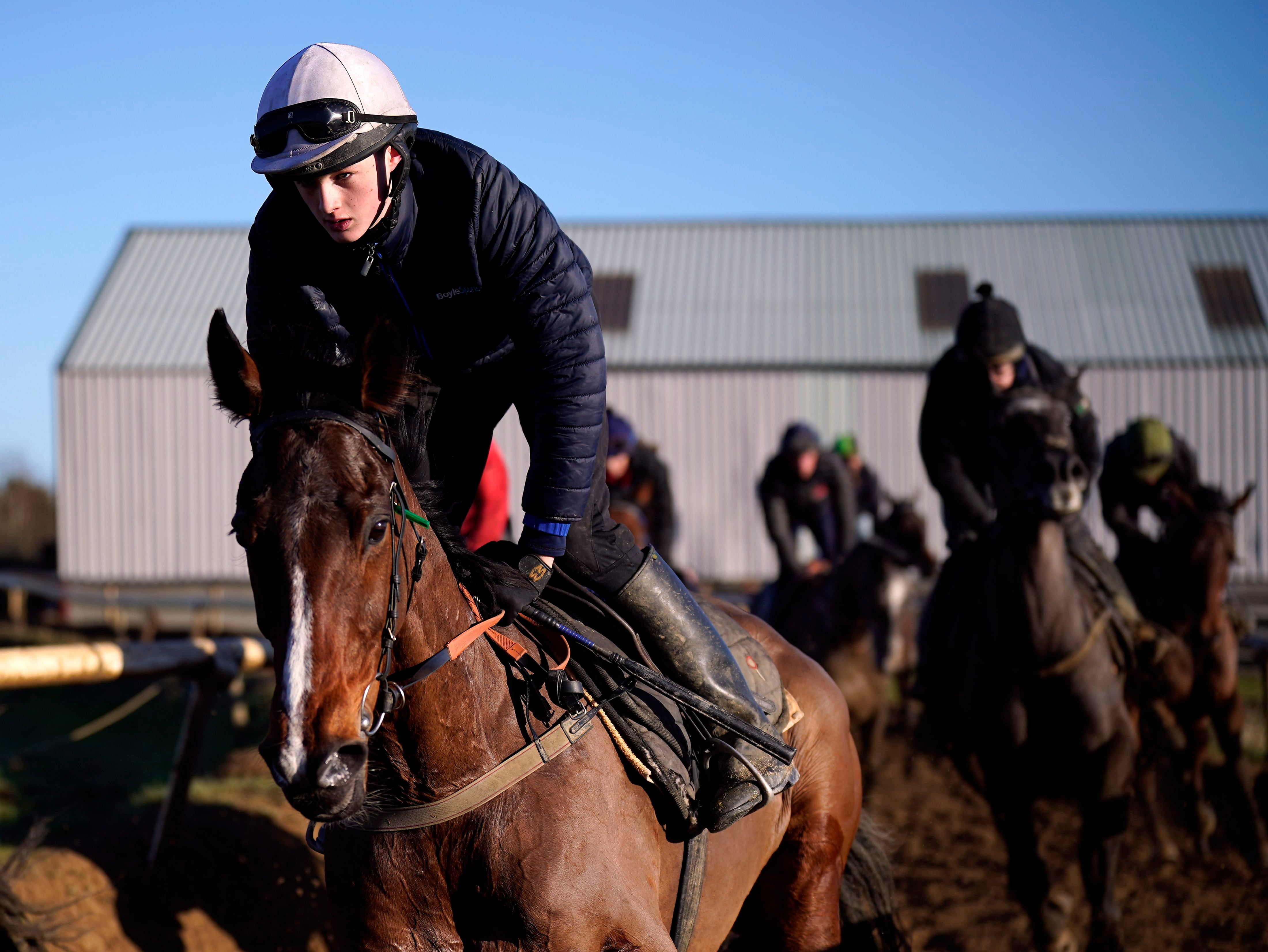 Irish-trained horses once more set to numerically dominate Aintree Grand  National – The Irish Times