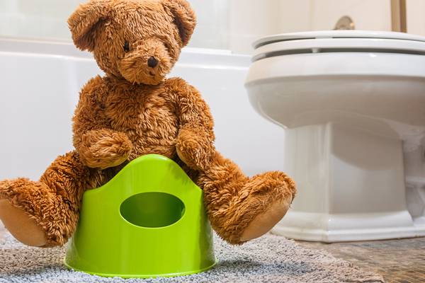 The seventh wonder of the parenting world – toilet training