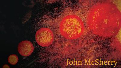 John McSherry - The Seven Sons album review: A world humming with good vibrations