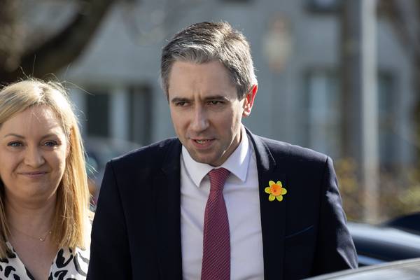 Simon Harris takes the reins of a party in trouble 