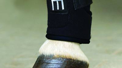 Booting up idea to soothe horse legs