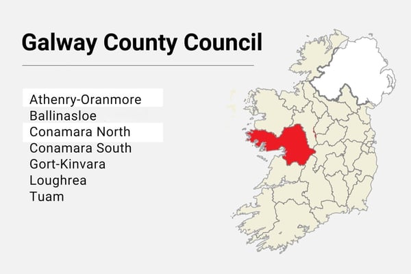 Local Elections: Galway County Council results