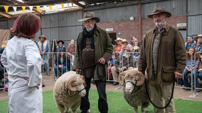 Rams: Great performances by Sam Neill – and the sheep