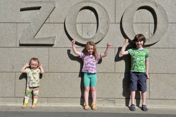 ‘A gateway to normality’: Dublin Zoo reopens after three months