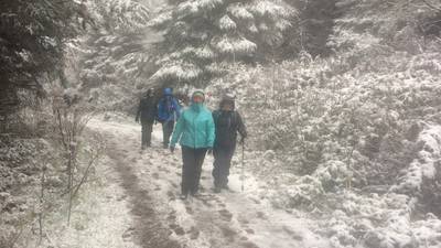 Walk for the Weekend: The magic of a snowy Tipperary trail
