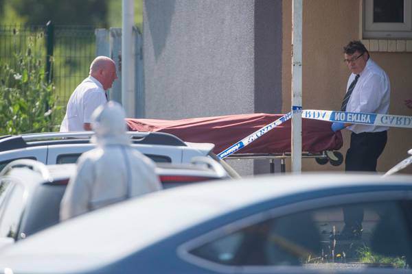 Neighbour ‘heard roar’ from house where man (66) found dead in Cork