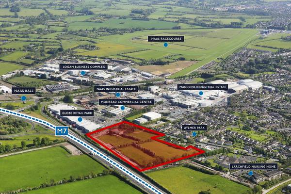 Naas lands offer scope for development at €3m