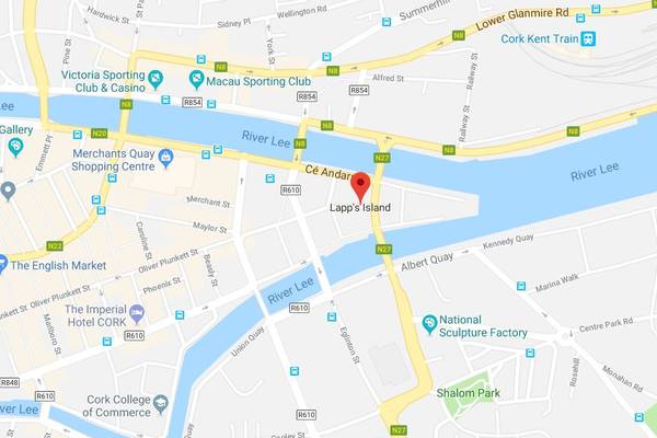 Green Party calls for scrapping of €100-million plan for Port of Cork site