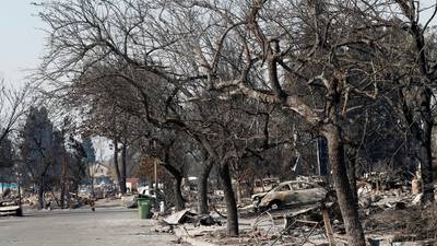 California wildfires: Teams search ruins as death toll hits 31