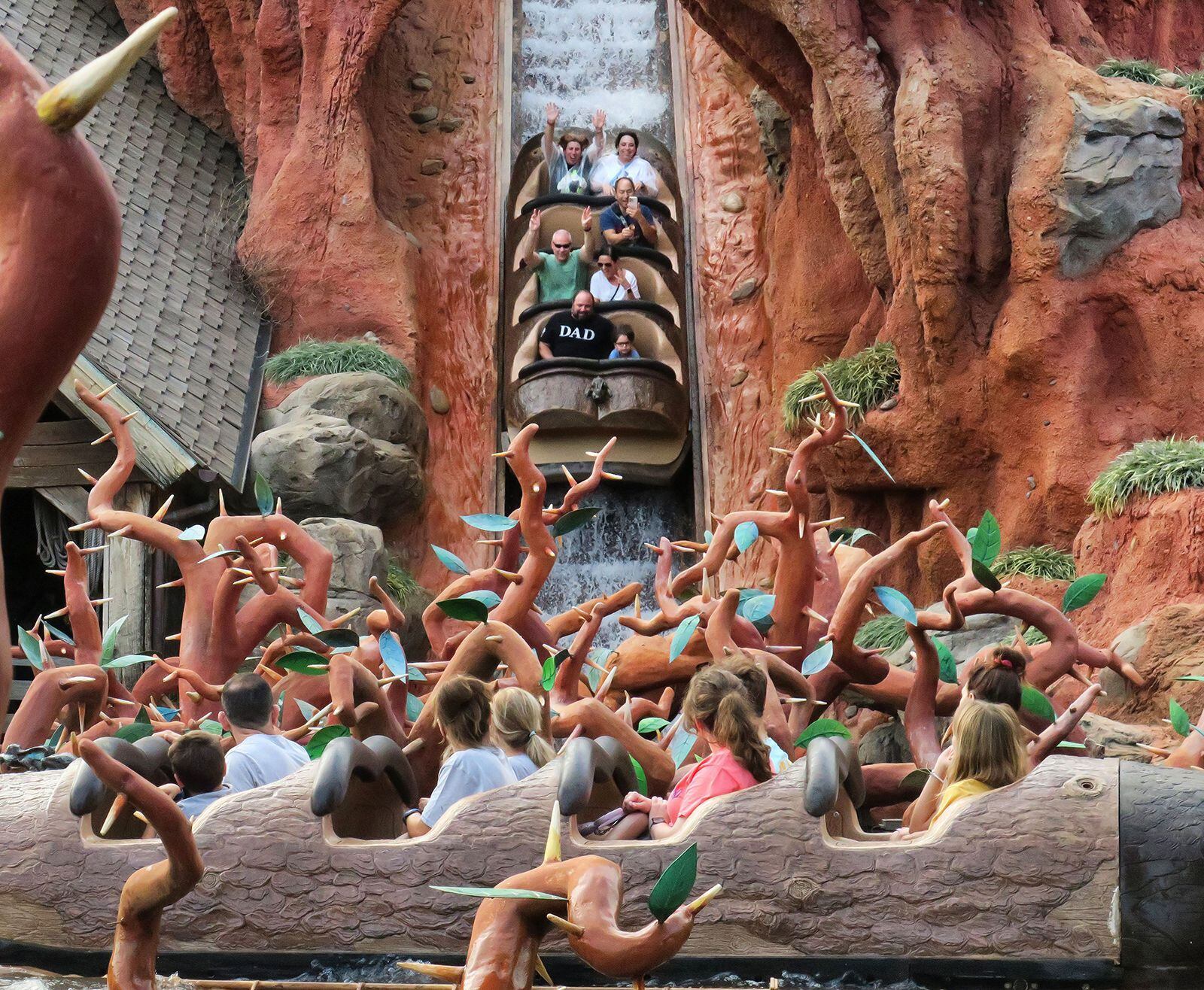 PHOTOS, VIDEO: Complimentary Ziploc Bag Distribution Has Begun at Splash  Mountain in the Magic Kingdom - WDW News Today