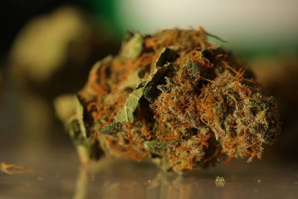 Cannabis  worth €30,000  seized in south Dublin