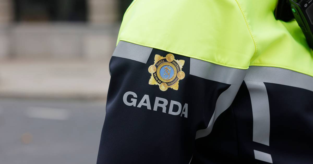 Un homme qui a frappé un policier à la tête la veille de Noël évite la prison – The Irish Times