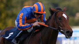 Legatissimo leads Sun Chariot contenders