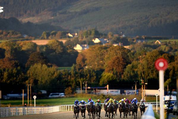 Dundalk track chief dismisses welfare concerns about all-weather circuit
