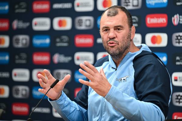 Former Australia and Leinster coach Michael Cheika appointed at Leicester Tigers