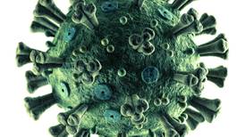 Coronavirus Tech Handbook guides you through the mayhem