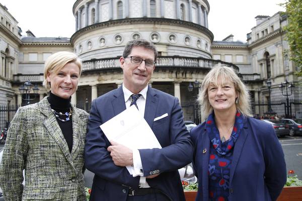 Green Party set to have FF, FG support as writ moved calling for Seanad byelection