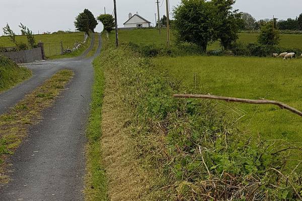 Locals protest over hedgerow cutting during National Biodiversity Week