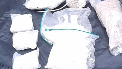 Man remanded on bail after €125,000 of cocaine seized from woodland stash