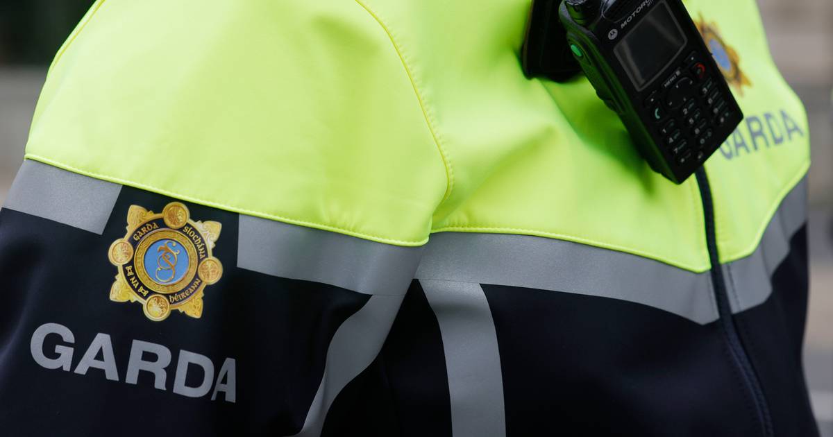 More than 40 Garda members  convicted or given probation  over last decade