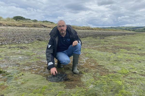 Farming practices and climate change affecting Irish river water quality