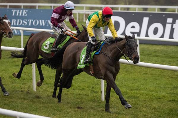 Gold Cup hero Sizing John to return at Punchestown