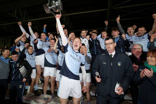 Limerick SHC final: Na Piarsaigh make it two-in-a-row