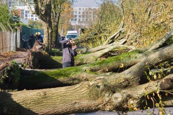 Storm Ophelia brings record gusts to parts of Co Cork