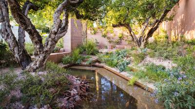 A Chelsea winner's guide to creating a tranquil garden
