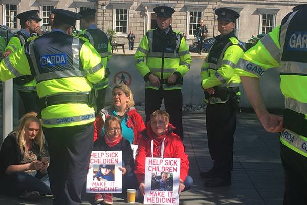 Medicinal cannabis protesters block gateway to Leinster House