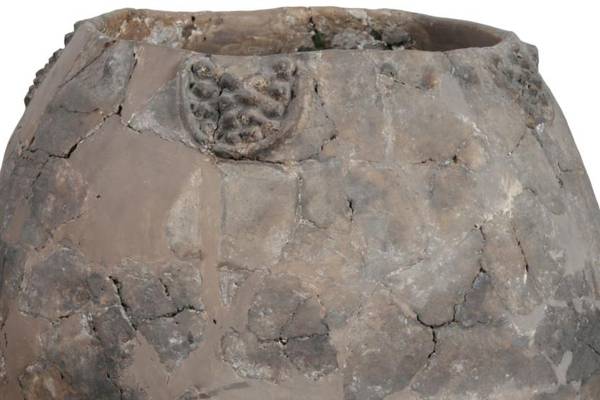 Stone Age tipples: Neolithic Georgians were drinking wine 8,000 years ago