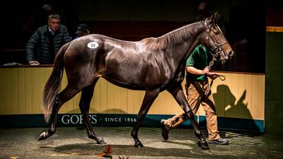 €1.2m yearling sale at Goffs could signal end to 12-year racing rift