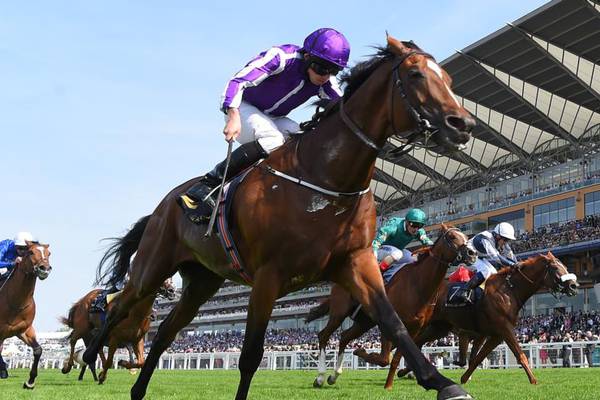Highland Reel on course for perfect career finale in Hong Kong