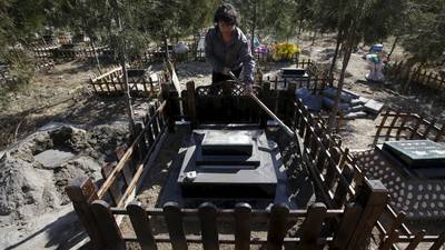 Millions in China sweep graves to honour ancestors