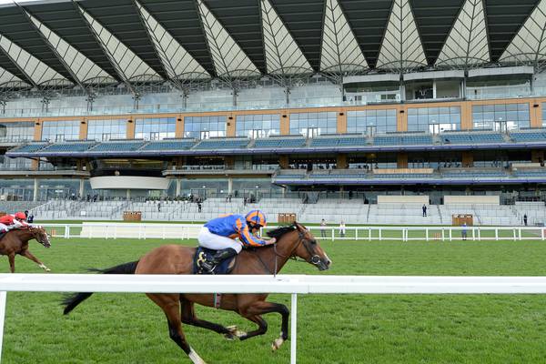 Santiago makes it four Ascot winners for Aidan O’Brien