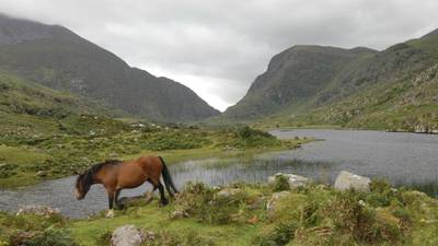 The Kingdom on a horse: views of Kerry from a saddle | The Yes Woman